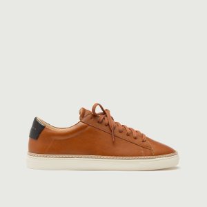 Low 1 Pro | Chestnut (Orthopedic)