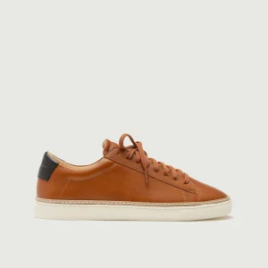 Low 1 Pro | Chestnut