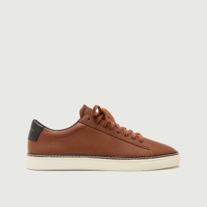 Low 1 Pro | Walnut