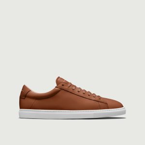 Low 1 | Lion (Orthopedic)