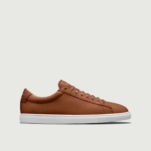 Low 1 | Lion (Orthopedic)