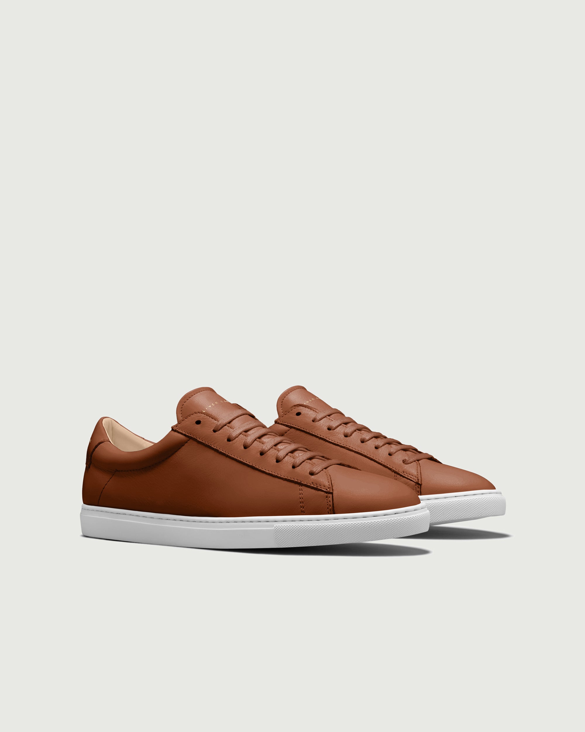 Low 1 | Lion (Orthopedic) - Image 2