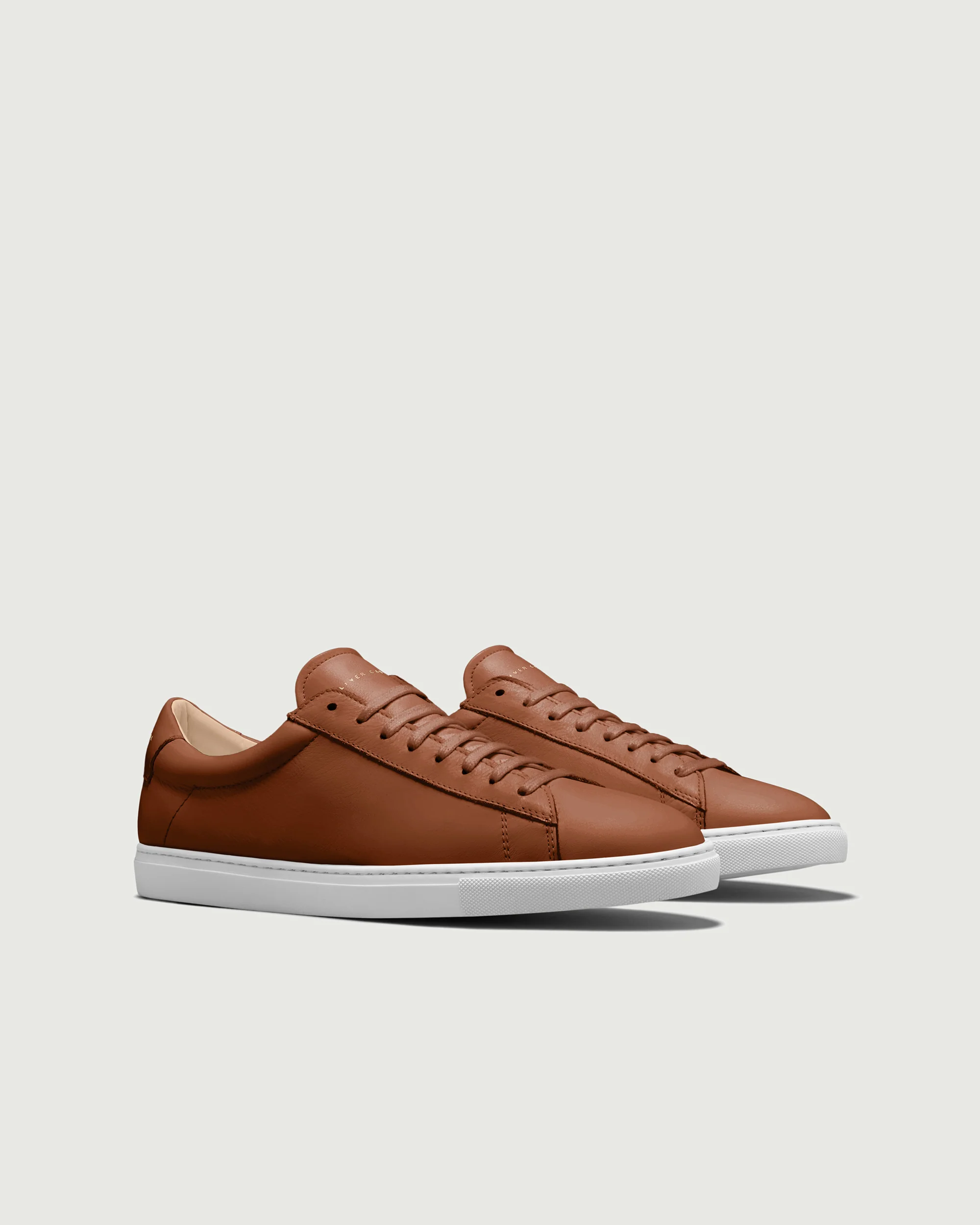 Low 1 | Lion (Orthopedic) - Image 2