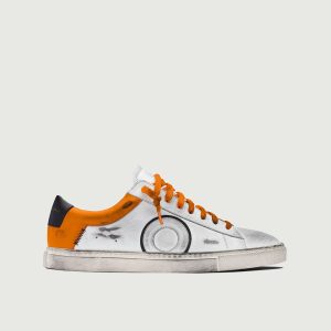 Low 1 | Starfish (Orthopedic)
