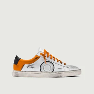 Low 1 | Starfish (Orthopedic)