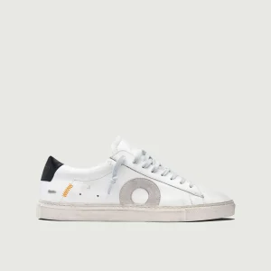 Low 1 | Tigger (Orthopedic)