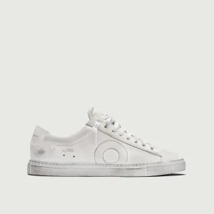 Low 1 | White Wall (Orthopedic)