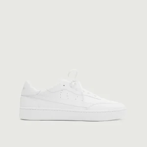 Vegan 581 | Subdued