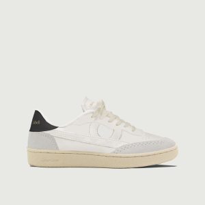Vegan 581 | Summit