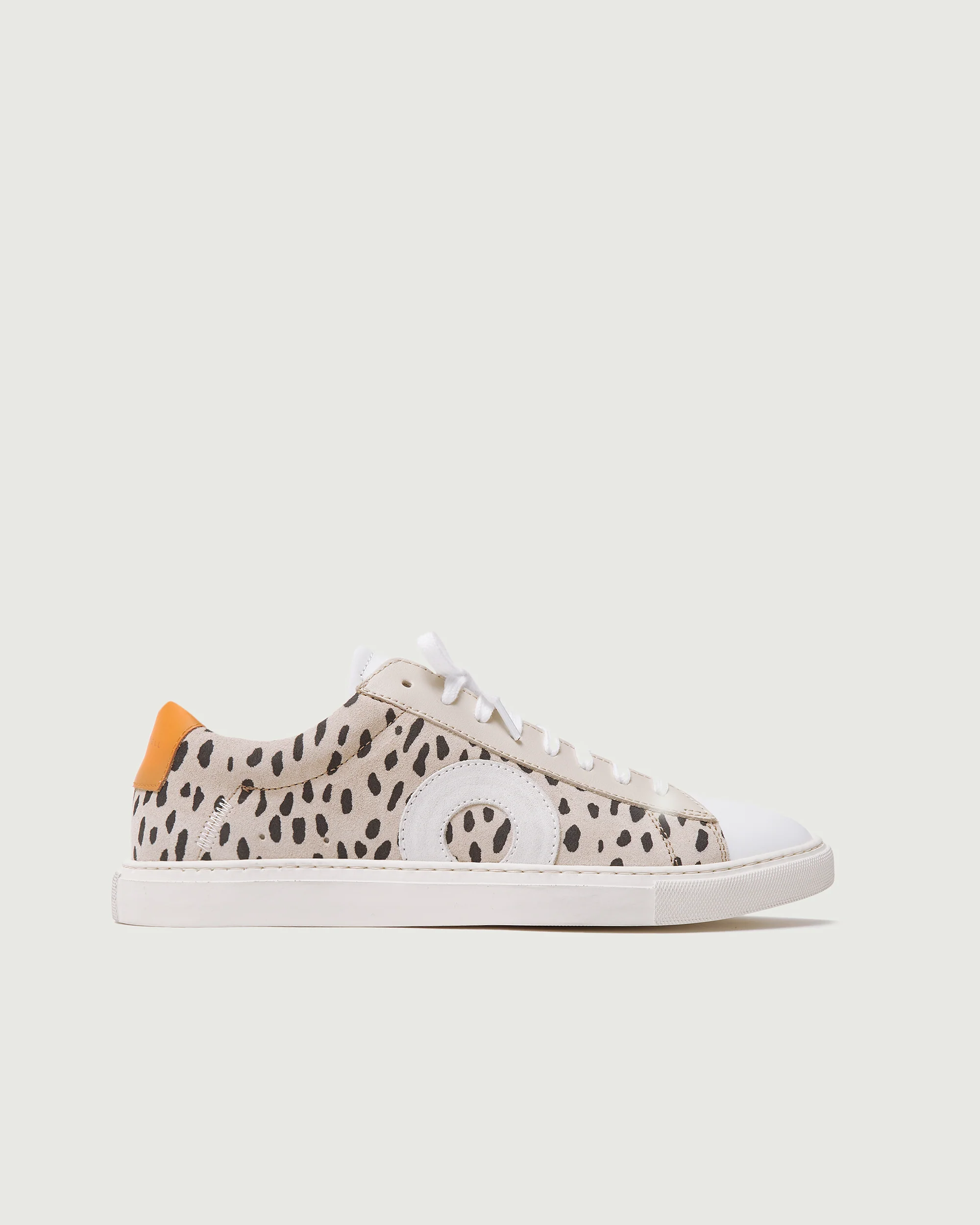 Low 1 | Jolla