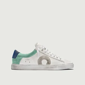 Low 1 | Lynx