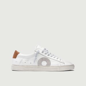 Low 1 | Marsala (Orthopedic)