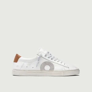 Low 1 | Marsala (Orthopedic)