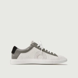 Low 1 | Stingray