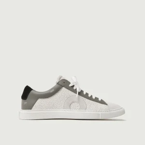 Low 1 | Stingray