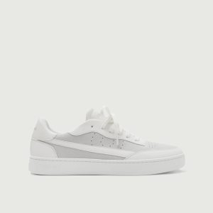 Vegan 581 | Sea Salt
