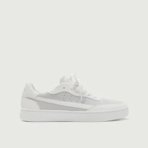 Vegan 581 | Sea Salt