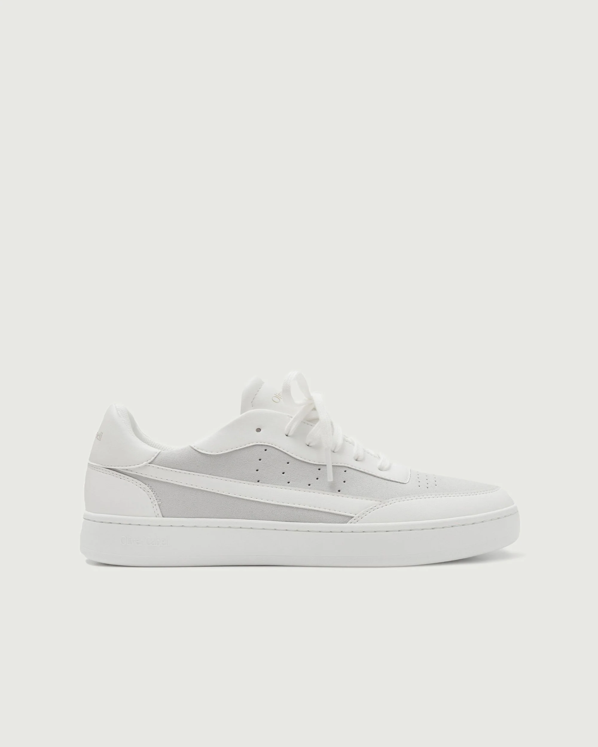 Vegan 581 | Sea Salt